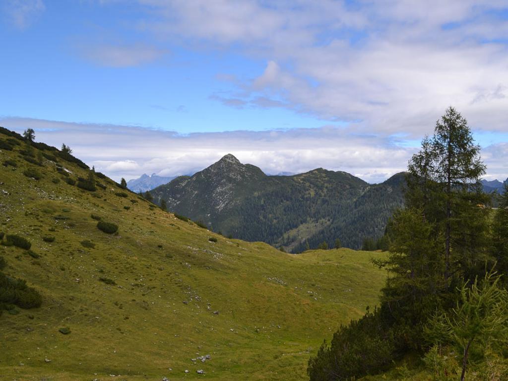 Apartment Strims Zauchensee Kültér fotó