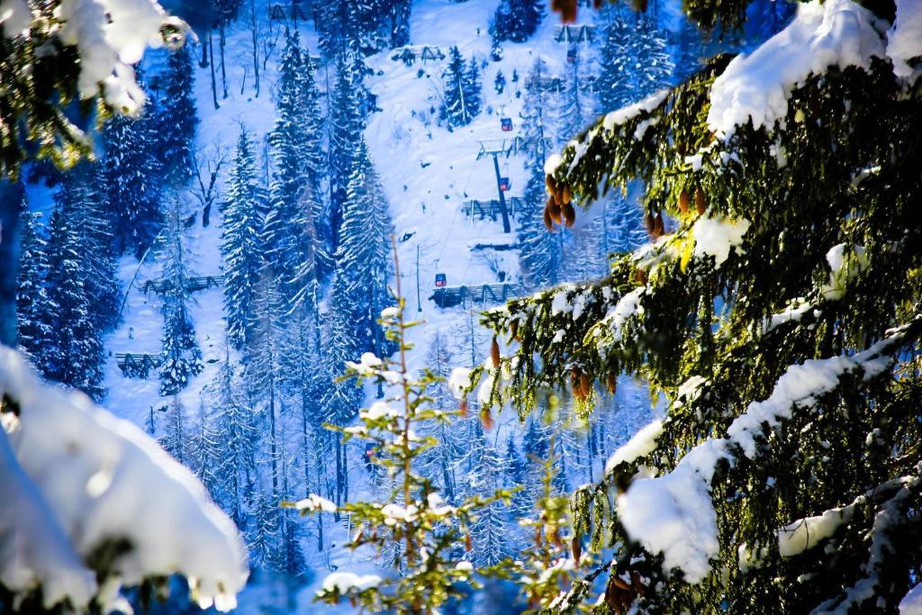 Apartment Strims Zauchensee Kültér fotó