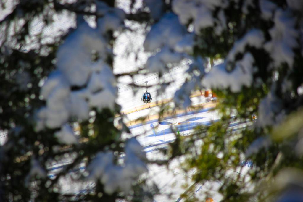 Apartment Strims Zauchensee Kültér fotó